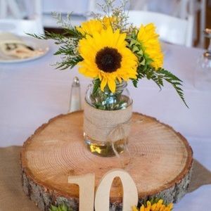 Meet your Posher, Rose